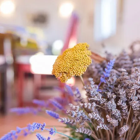 Nur 200 Meter Zum Tollen In Apartament