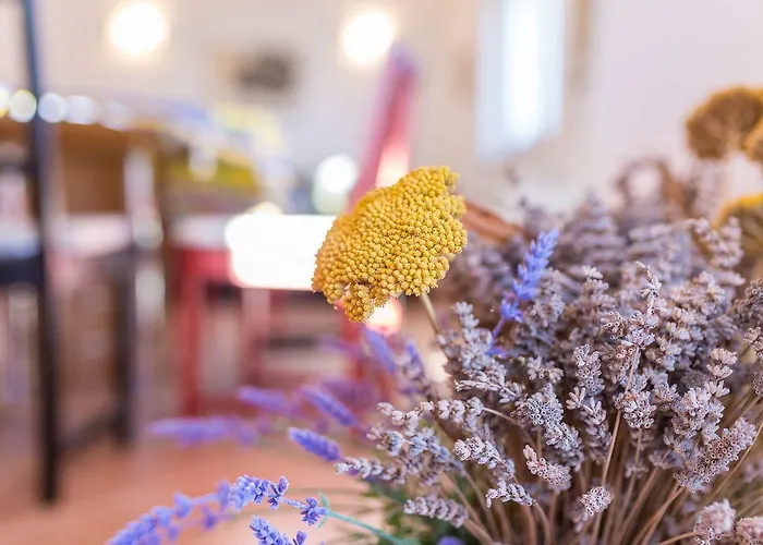 Nur 200 Meter Zum Tollen In Apartament